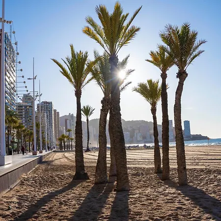 Apartamento Las Palmeras 15d Benidorm